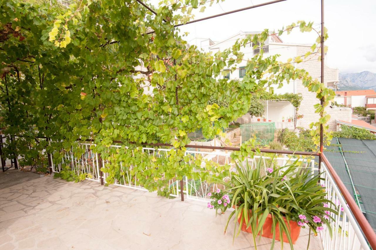 Apartmani Galija Pisak Exterior photo